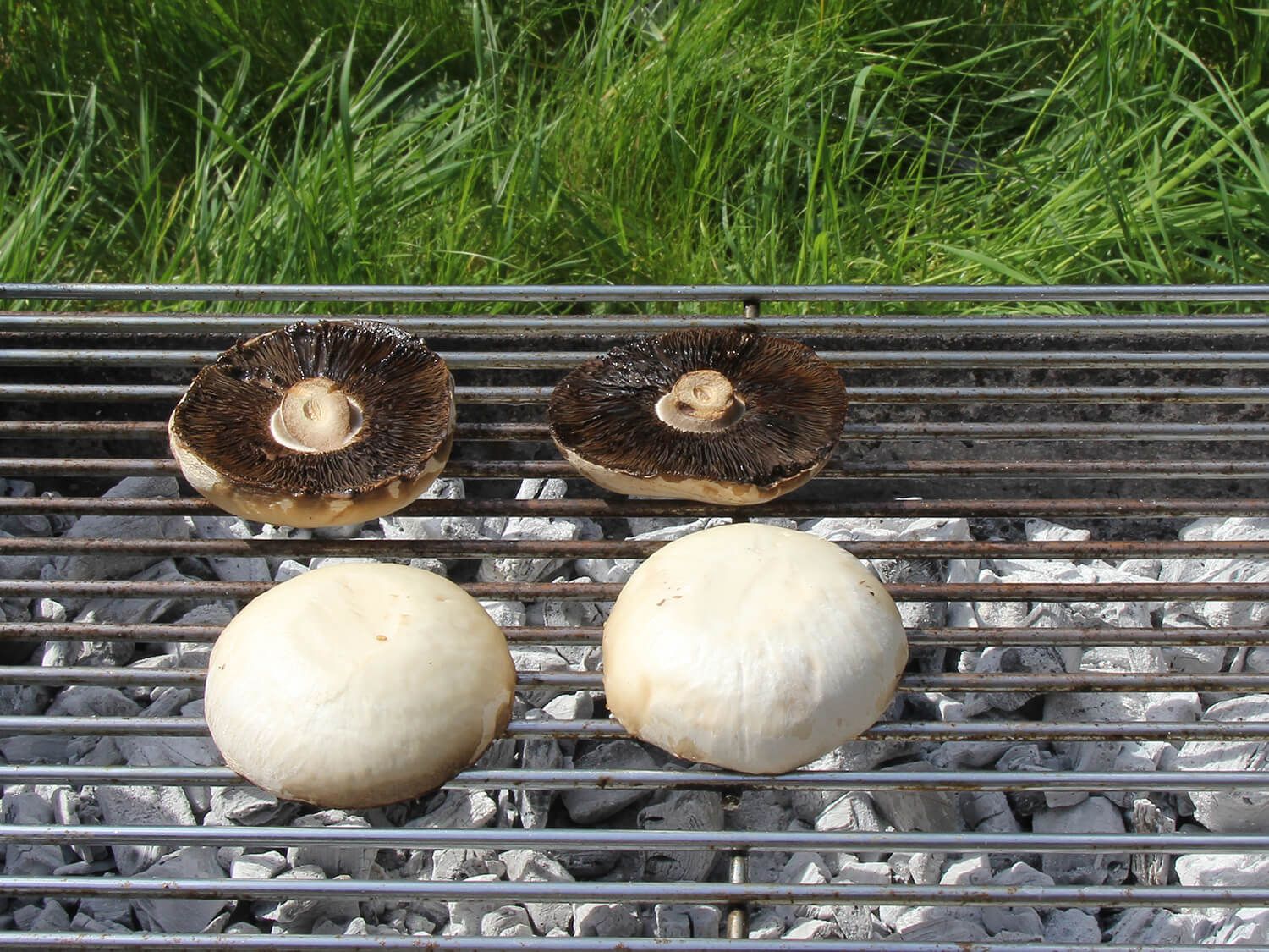 BBQ Portobello Mushroom Burgers