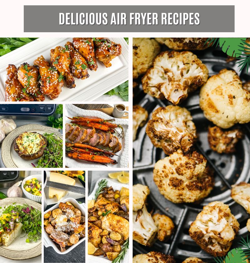 50 Best Air Fryer Recipes 121 50 Best Air Fryer Recipes