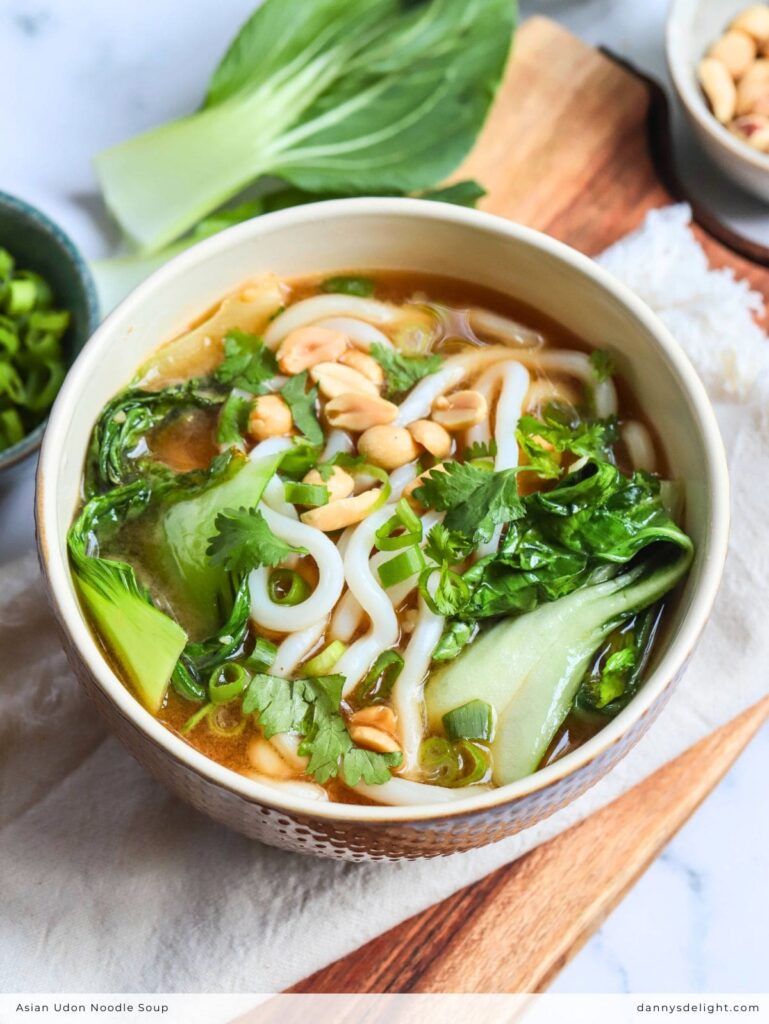 Asian Udon Noodle Soup
